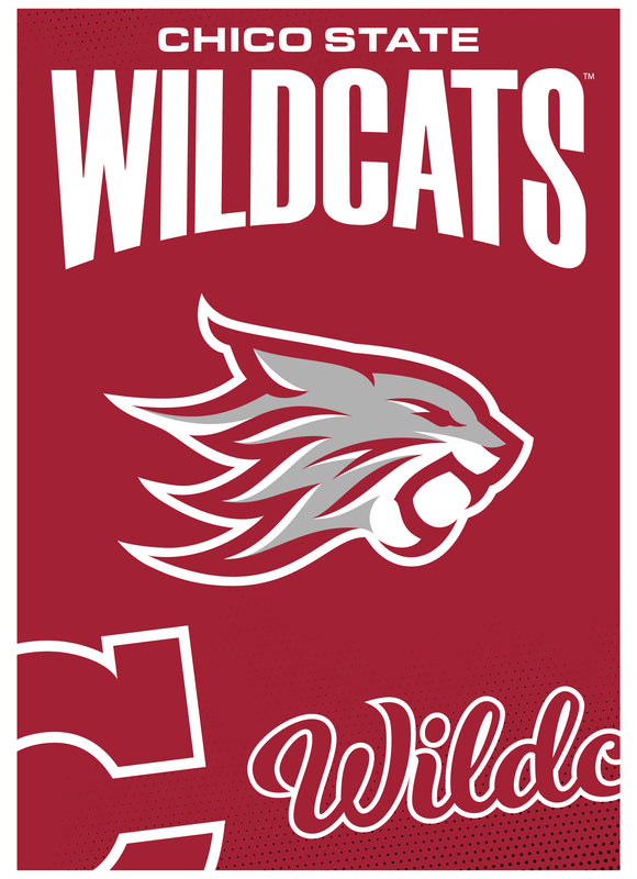 California State University, Chico Vintage Collegiate Poster – Officially Licensed College Wall Art