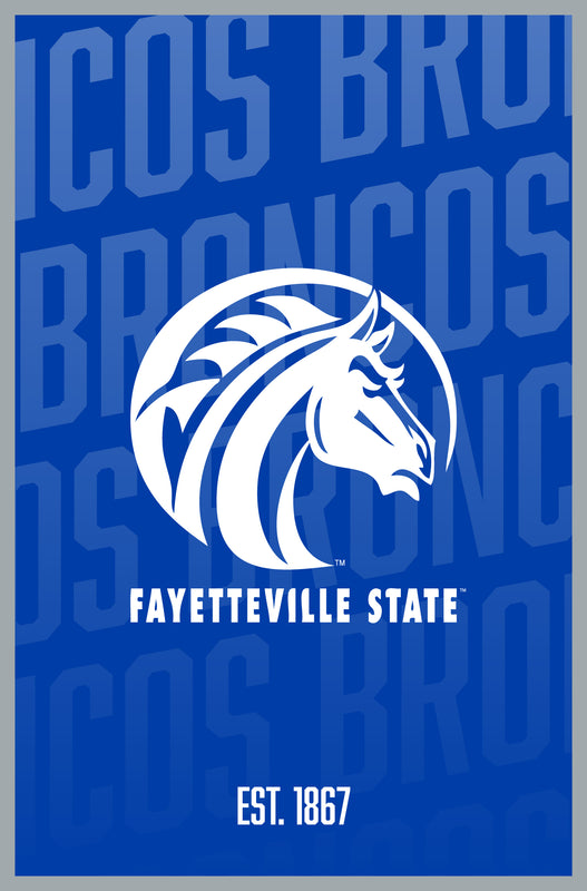 Fayetteville State University Vintage College Poster Officially Licensed Collegiate Product 11 x 17-Inches