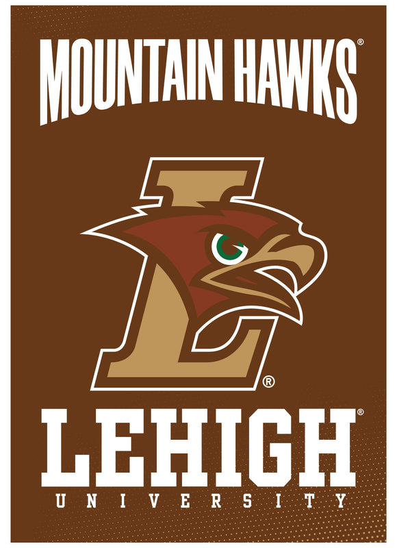Lehigh University Mountain Hawks Vintage Collegiate Poster – Officially Licensed College Wall Art