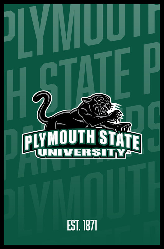 Plymouth State University Vintage College Poster Officially Licensed Collegiate Product 16 x 24-Inches