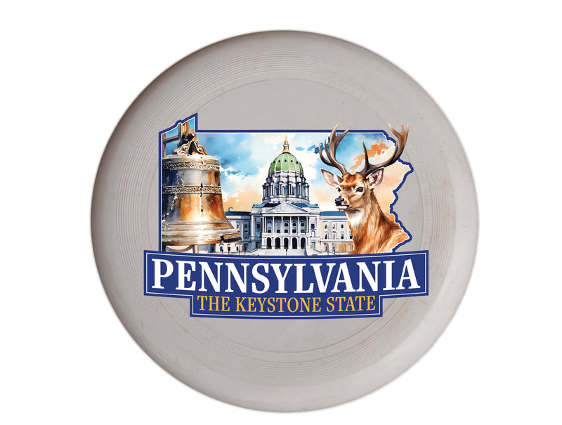 Pennsylvania Design D Souvenir Frisbee Flying Disc Single