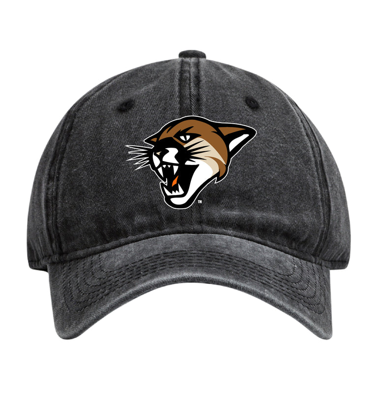 Vermont Catamounts Officially Licensed Dad Hat - Unisex Baseball Cap Colorful Logo Black