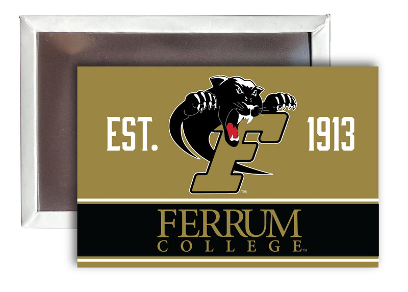 Ferrum College 2x3-Inch NCAA Vibrant Collegiate Fridge Magnet