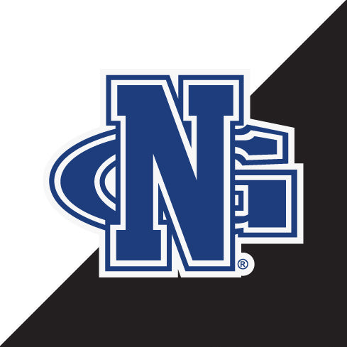 North Georgia Nighthawks Officially Licensed Vinyl Decal Sticker