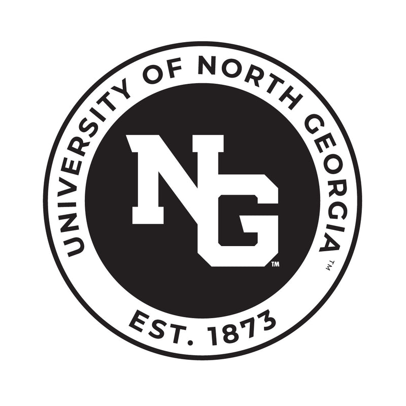 North Georgia Nighthawks Officially Licensed Black Vinyl Decal Sticker Holographic Backing