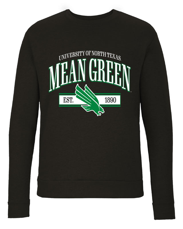 North Texas Sweatshirt with Mascot Graphics – Officially Licensed Crewneck Pullover Large Front