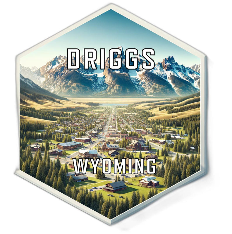 Driggs Wyoming Souvenir Travel Destination Die Cut Hexagon Fridge Magnet 2-Inch