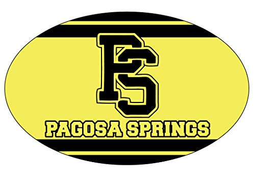 R and R Imports, Inc Pagosa Springs High School Pirates Colorado Sports Team Oval Car Fridge Magnet
