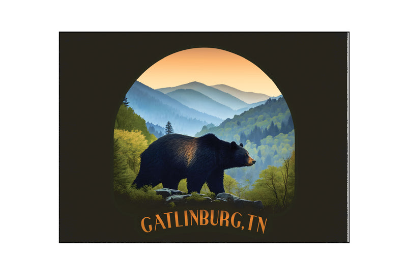 Gatlinburg Tennessee Souvenir Wood sign with frame 5x7