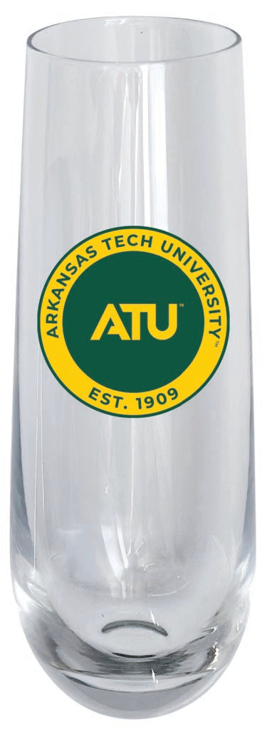 Arkansas Tech University 10oz Stemless Flute Officially Licensed Collegiate Product Single