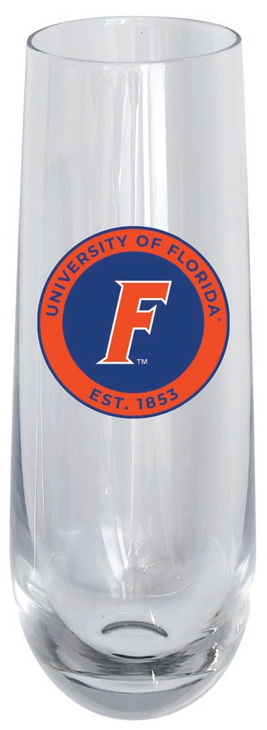 Florida Gators 10oz Stemless Flute Officially Licensed Collegiate Product Single