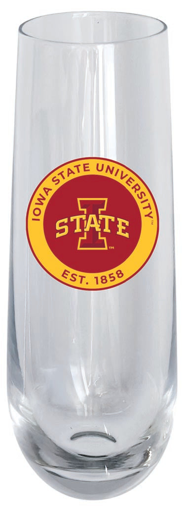 Iowa State Cyclones 10oz Stemless Flute Officially Licensed Collegiate Product Single