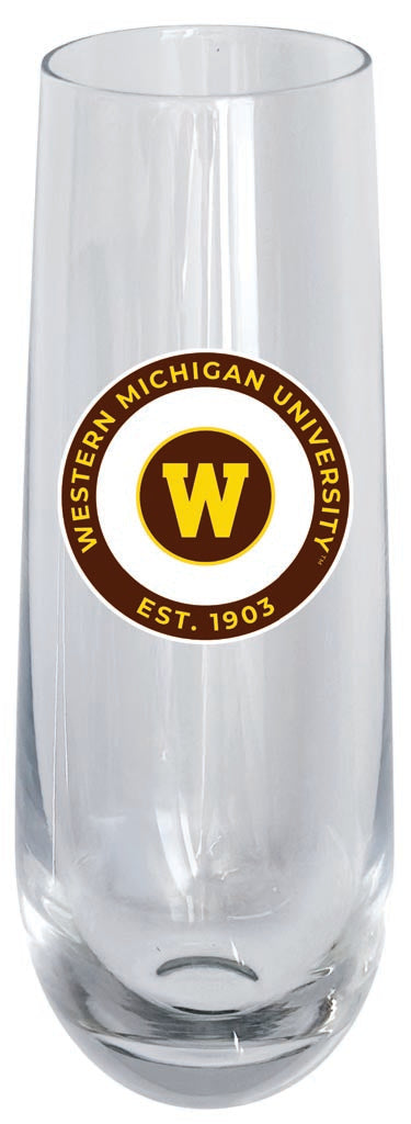 Western Michigan University 10oz Stemless Flute Officially Licensed Collegiate Product Single