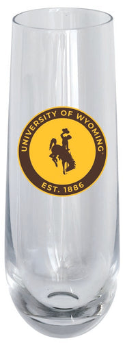 University of Wyoming 10oz Stemless Flute Officially Licensed Collegiate Product Single