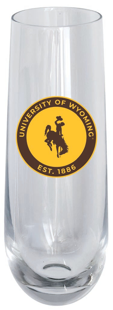 University of Wyoming 10oz Stemless Flute Officially Licensed Collegiate Product Single