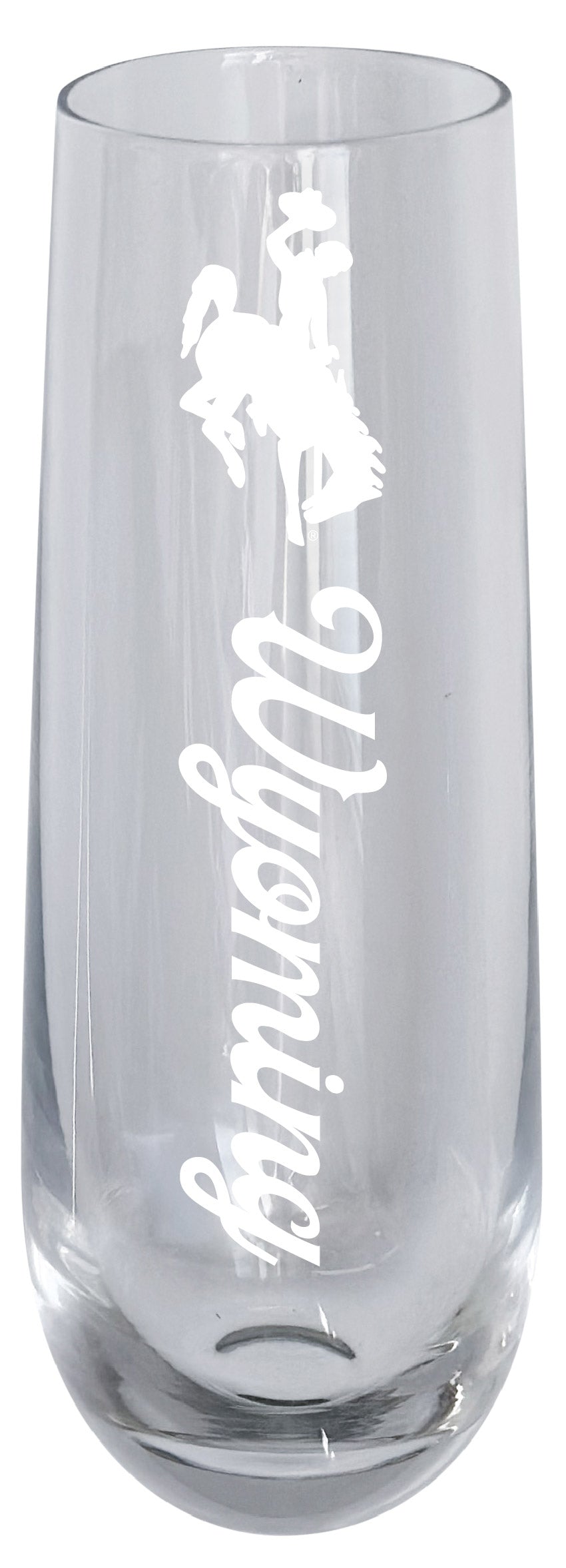 University of Wyoming 10oz Engraved Champagne Flute Officially Licensed Collegiate Product Single