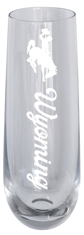 University of Wyoming 10oz Engraved Champagne Flute Officially Licensed Collegiate Product Single