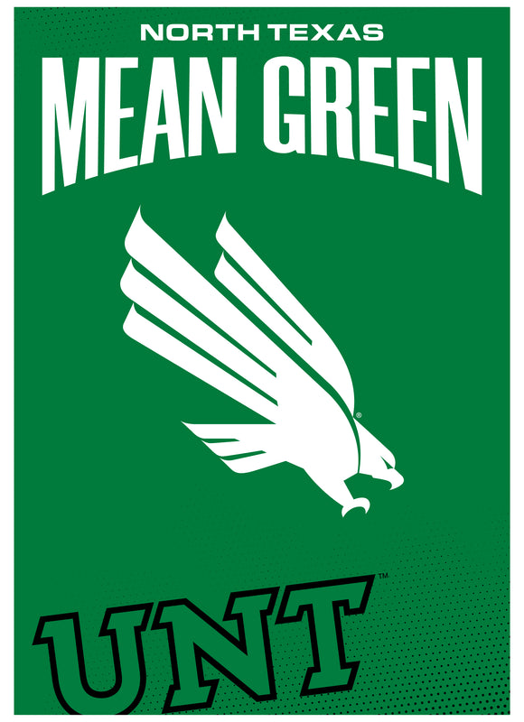 North Texas Vintage Collegiate Poster – Officially Licensed College Wall Art 