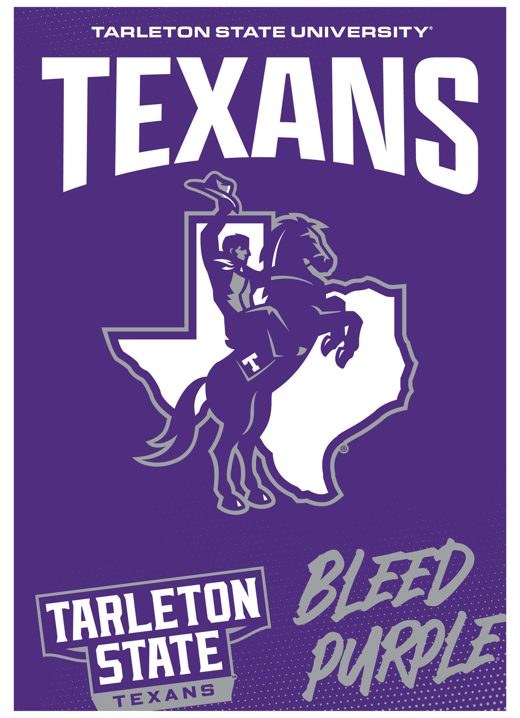 Tarleton State University Vintage Collegiate Poster – Officially ...