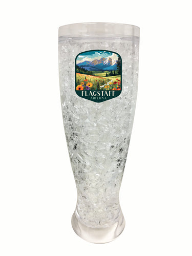 Flagstaff Arizona Design C Souvenir 16 oz Plastic Broken Glass Frosty Mug 2-Pack