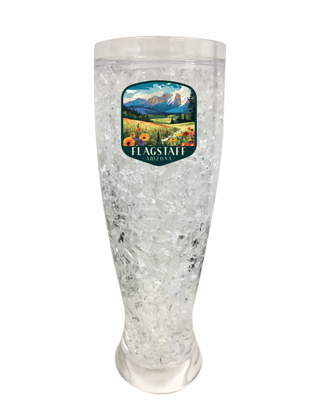 Flagstaff Arizona Design C Souvenir 16 oz Plastic Broken Glass Frosty Mug 2-Pack