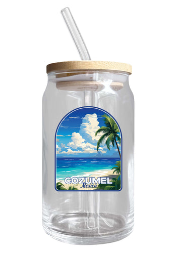 Cozumel Mexico Design C Souvenir 12 oz Beer Can Glass Single