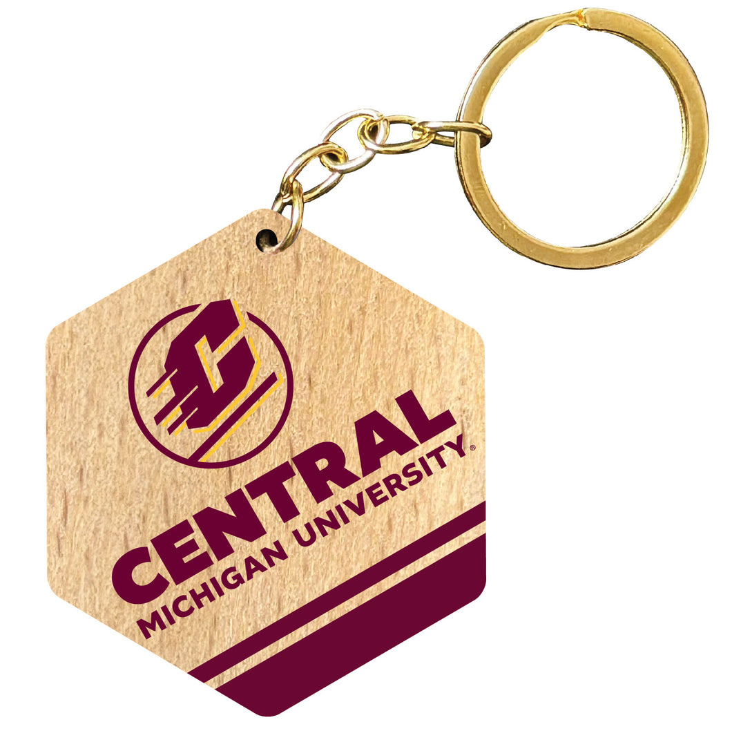 Central Michigan University 2