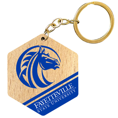 Fayetteville State University 2