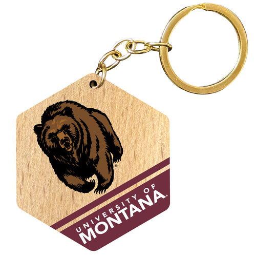 Montana University 2