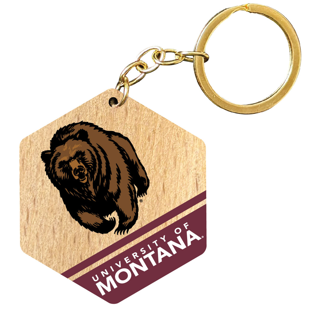 Montana University 2
