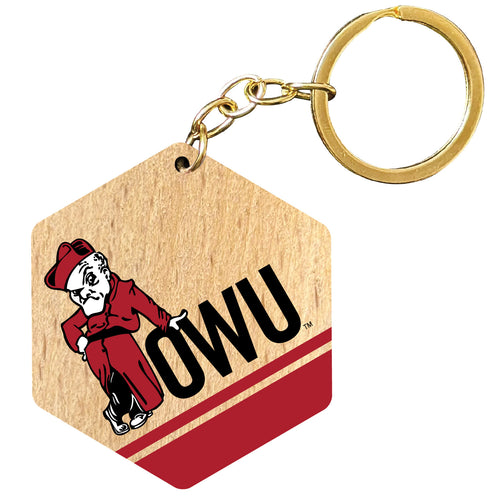 Ohio Wesleyan University 2