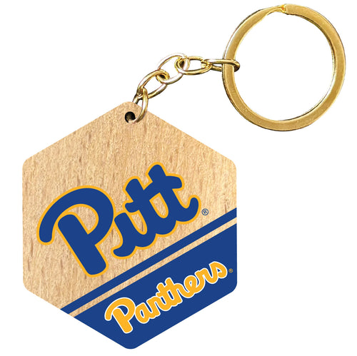 Pittsburgh Panthers 2