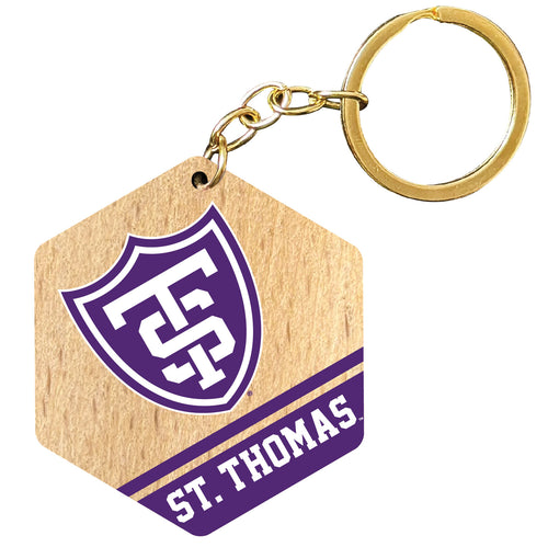 University of St. Thomas 2