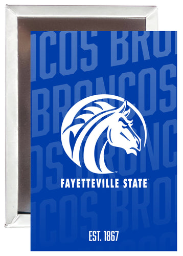 Fayetteville State University 2x3