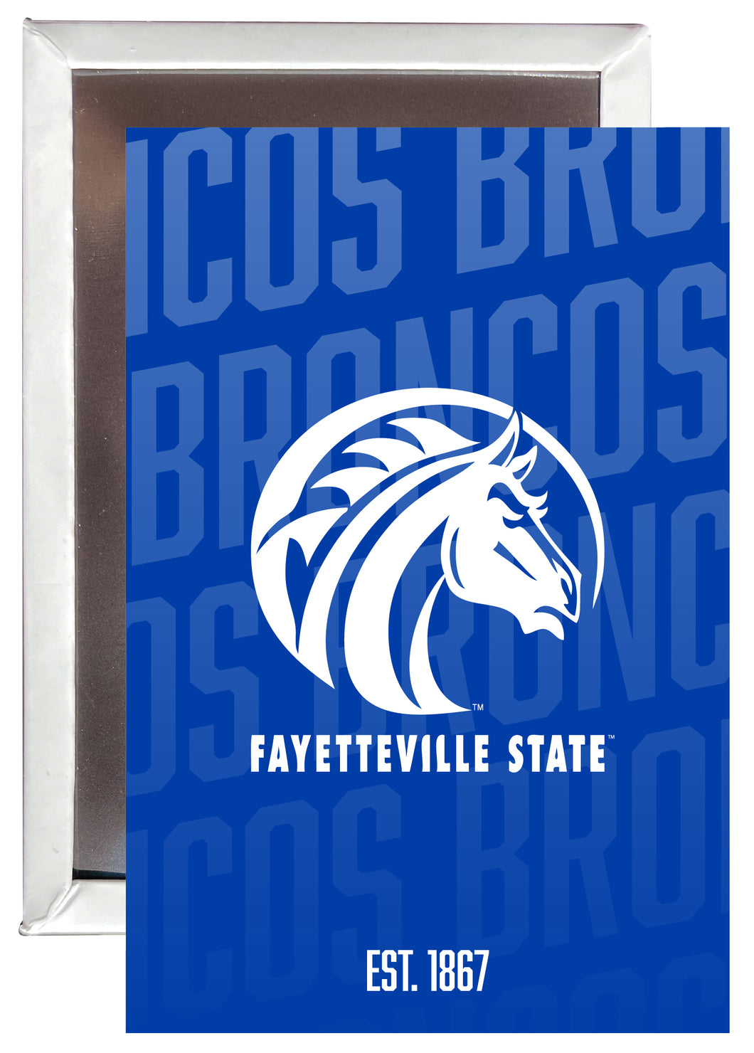 Fayetteville State University 2x3