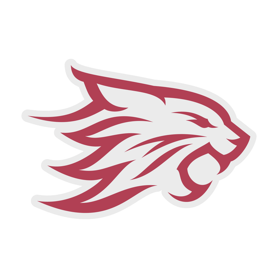 California State University, Chico Choose Style and Size NCAA Vinyl Decal Sticker for Fans, Students, and Alumni