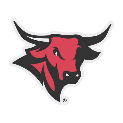 Nebraska at Omaha Choose Style and Size NCAA Vinyl Decal Sticker for Fans, Students, and Alumni