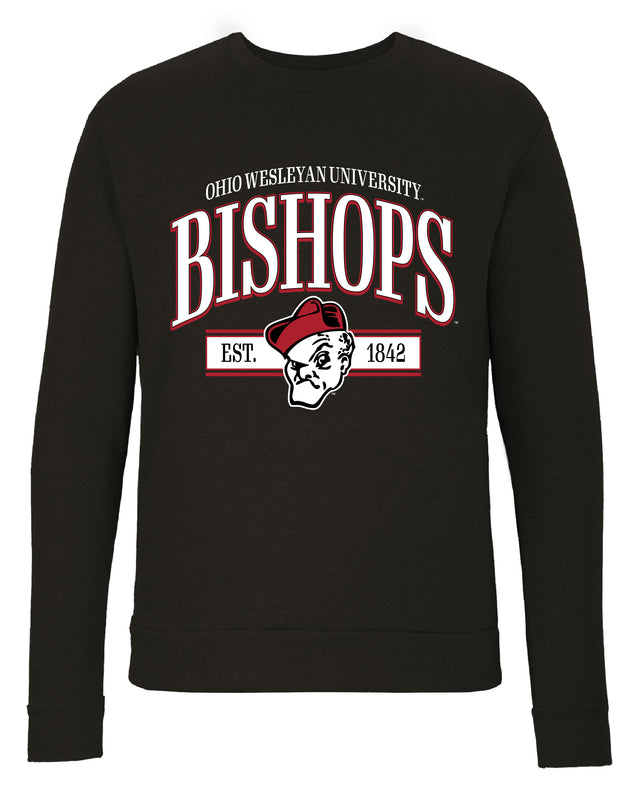 Ohio Wesleyan University Sweatshirt with Mascot Graphics – Officially Licensed Crewneck Pullover Large Front