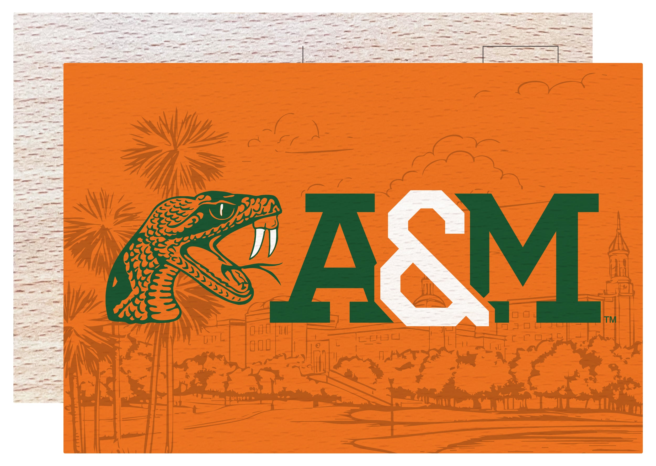 Florida A&M Rattlers Officially Licensed 4x6