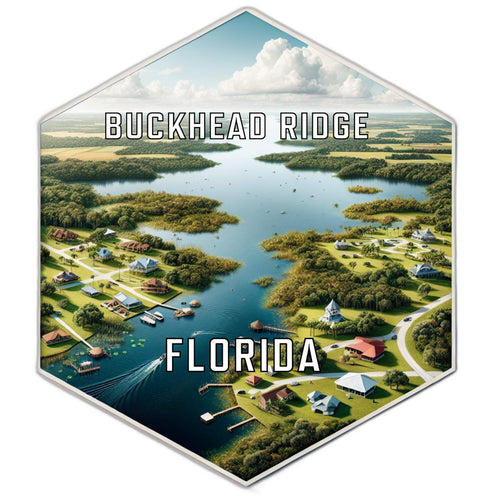 Buckhead Ridge Florida Souvenir Travel Destination Die Cut Hexagon Fridge Magnet 6-Inch