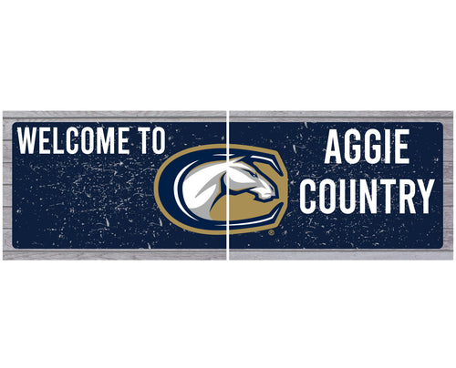 UC Davis Aggies Wood Sign with Frame