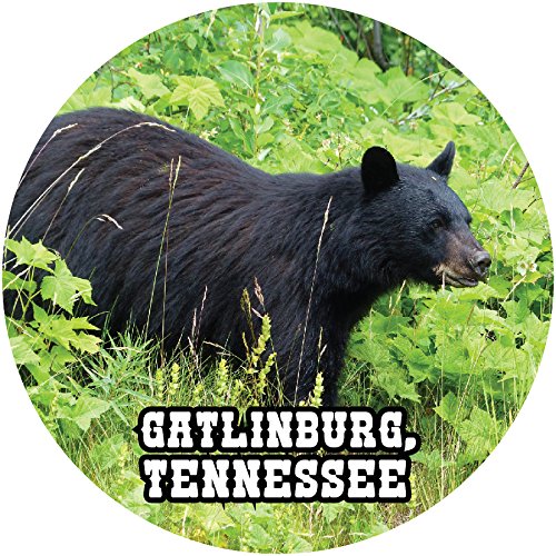 R and R Imports Gatlinburg Tennessee Souvenir Great Smoky Mountains Bear 3 Inch Round Magnet