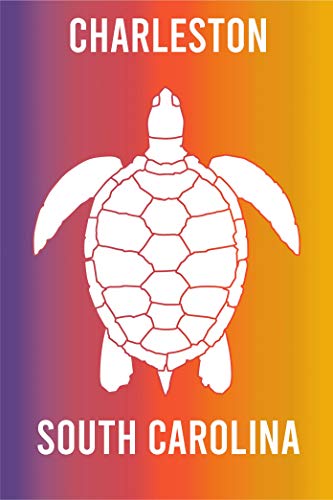 Charleston South Carolina Souvenir 2x3 Inch Fridge Magnet Turtle Design