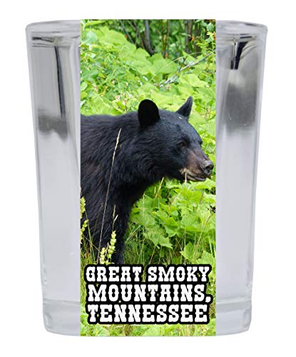 Great Smoky Mountains Gatlinburg Tennessee National Park Souvenir Square Shot Glass