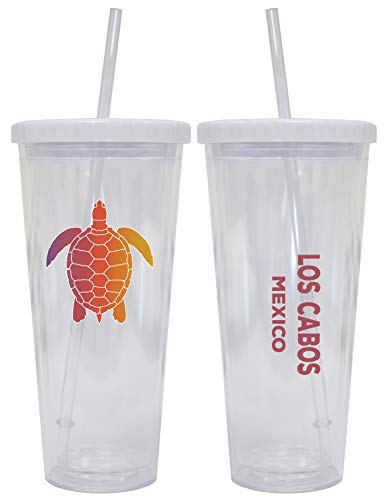 Los Cabos Mexico Souvenir 24 oz Reusable Plastic Tumbler With Straw and Lid