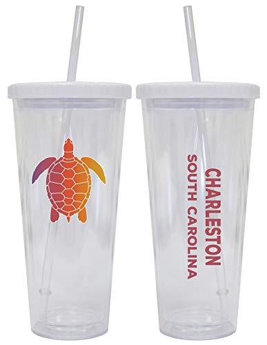 Charleston South Carolina Souvenir 24 oz Reusable Plastic Tumbler With Straw and Lid