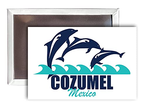 Cozumel Mexico Souvenir 2x3-Inch Fridge Magnet Dolphin Design