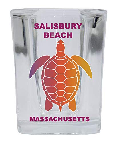 SALISBURY BEACH Massachusetts Shot Glass