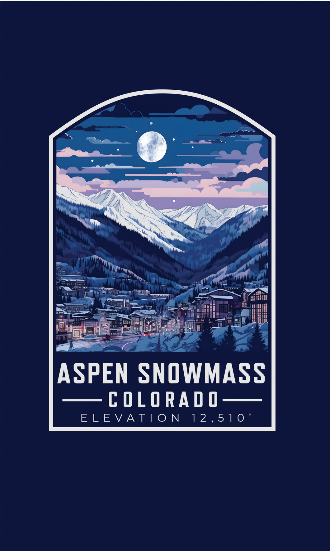 Aspen Snowmass Colorado Design C Souvenir Metal Sign 9 x 15
