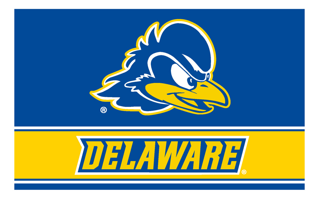Delaware Blue Hens Wood Sign with Frame